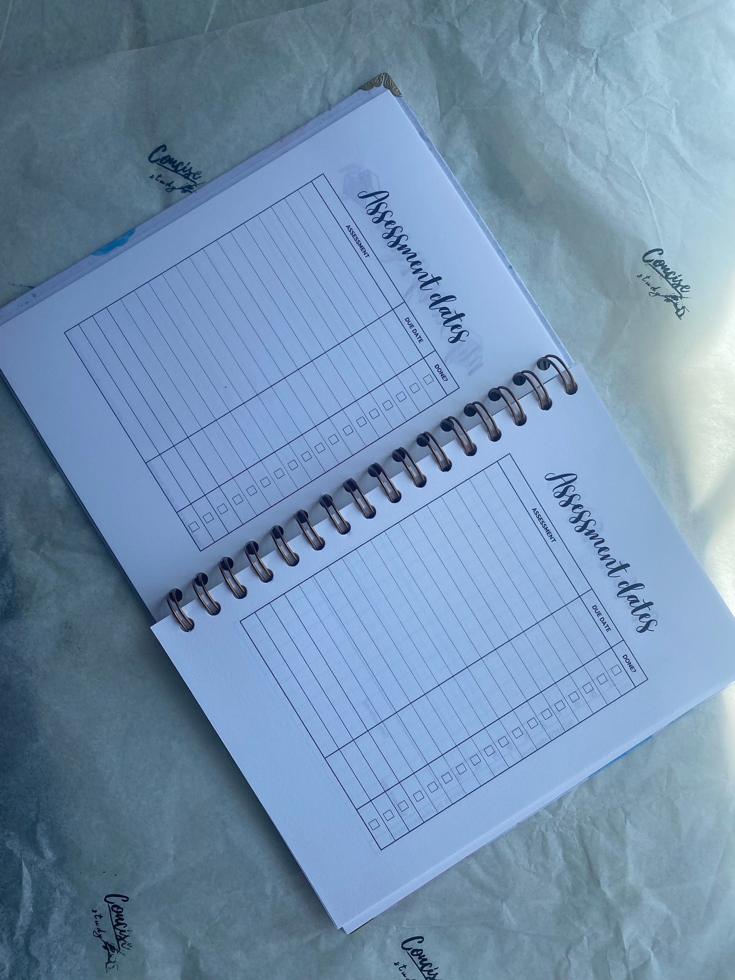 Veterinary Student Academic Planner