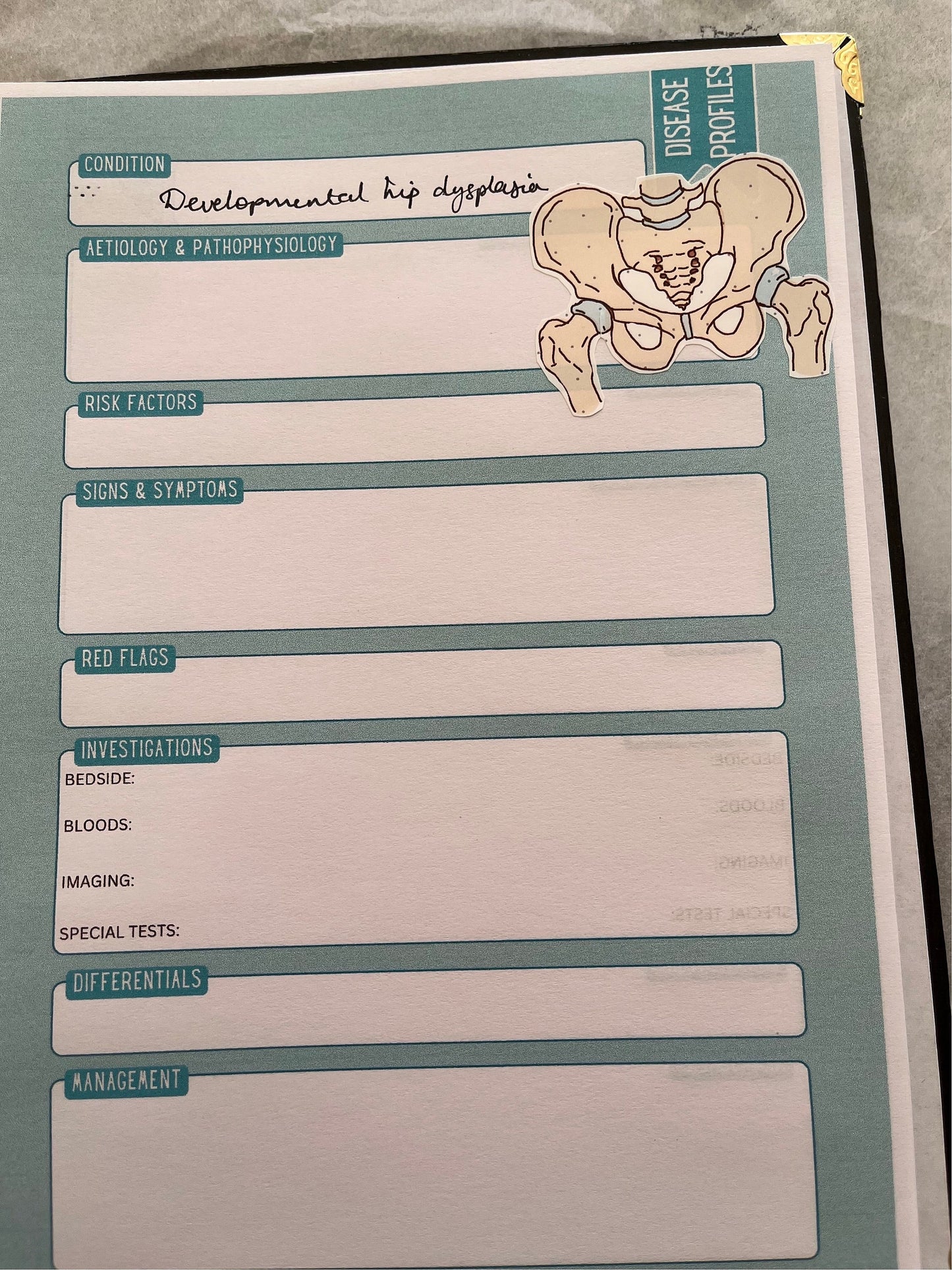 Medicine-y Things Notebook