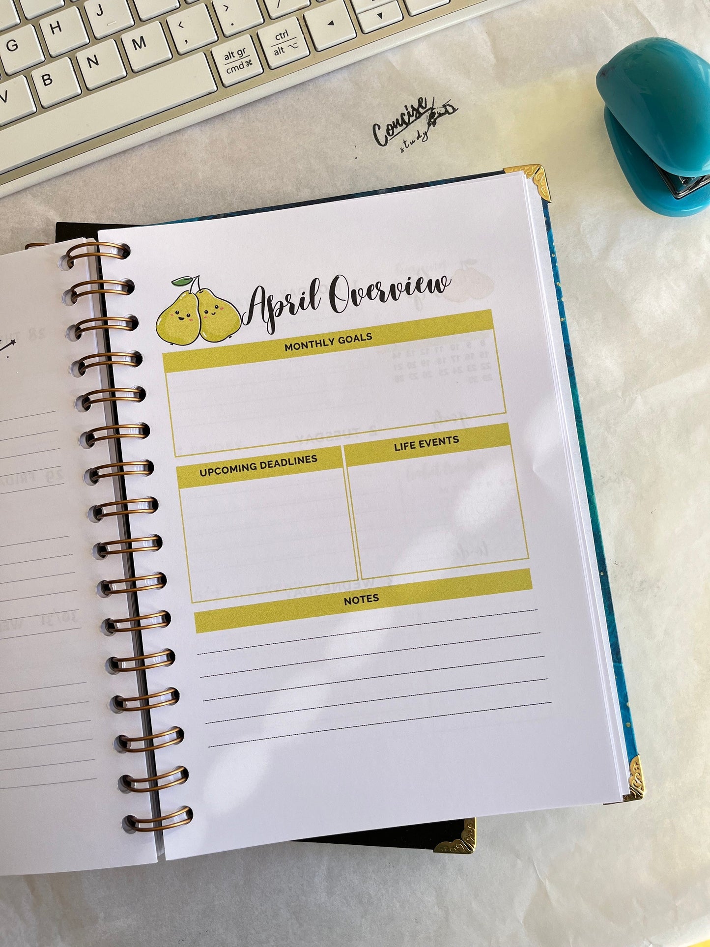 Oceanview Dietetics Student Planner