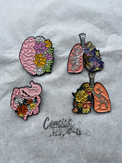 Anatomical Enamel Pins