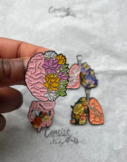 Anatomical Enamel Pins