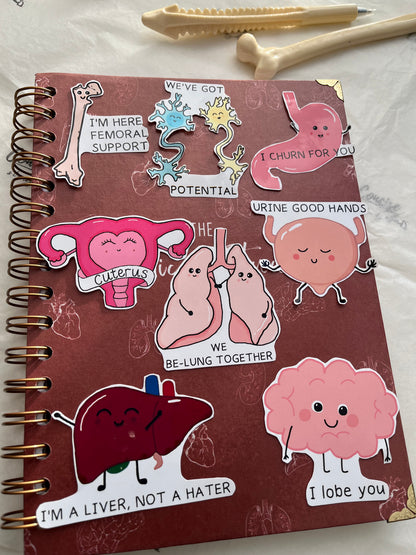 Cute Punny Anatomy Stickers