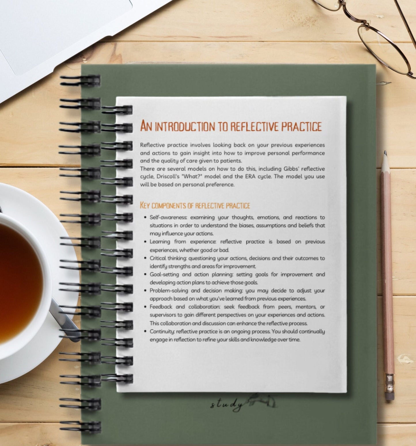 Reflective Practice Journal