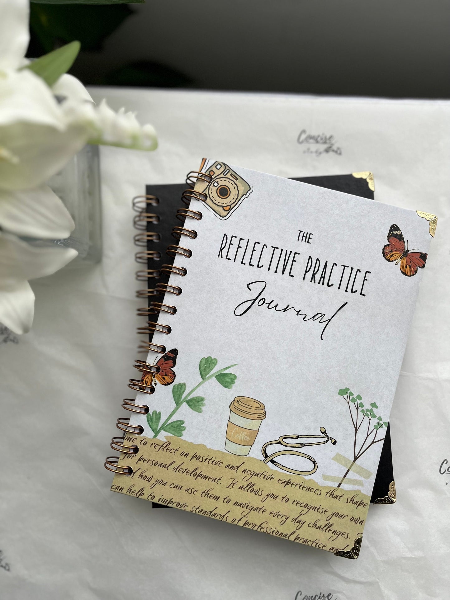 Reflective Practice Journal