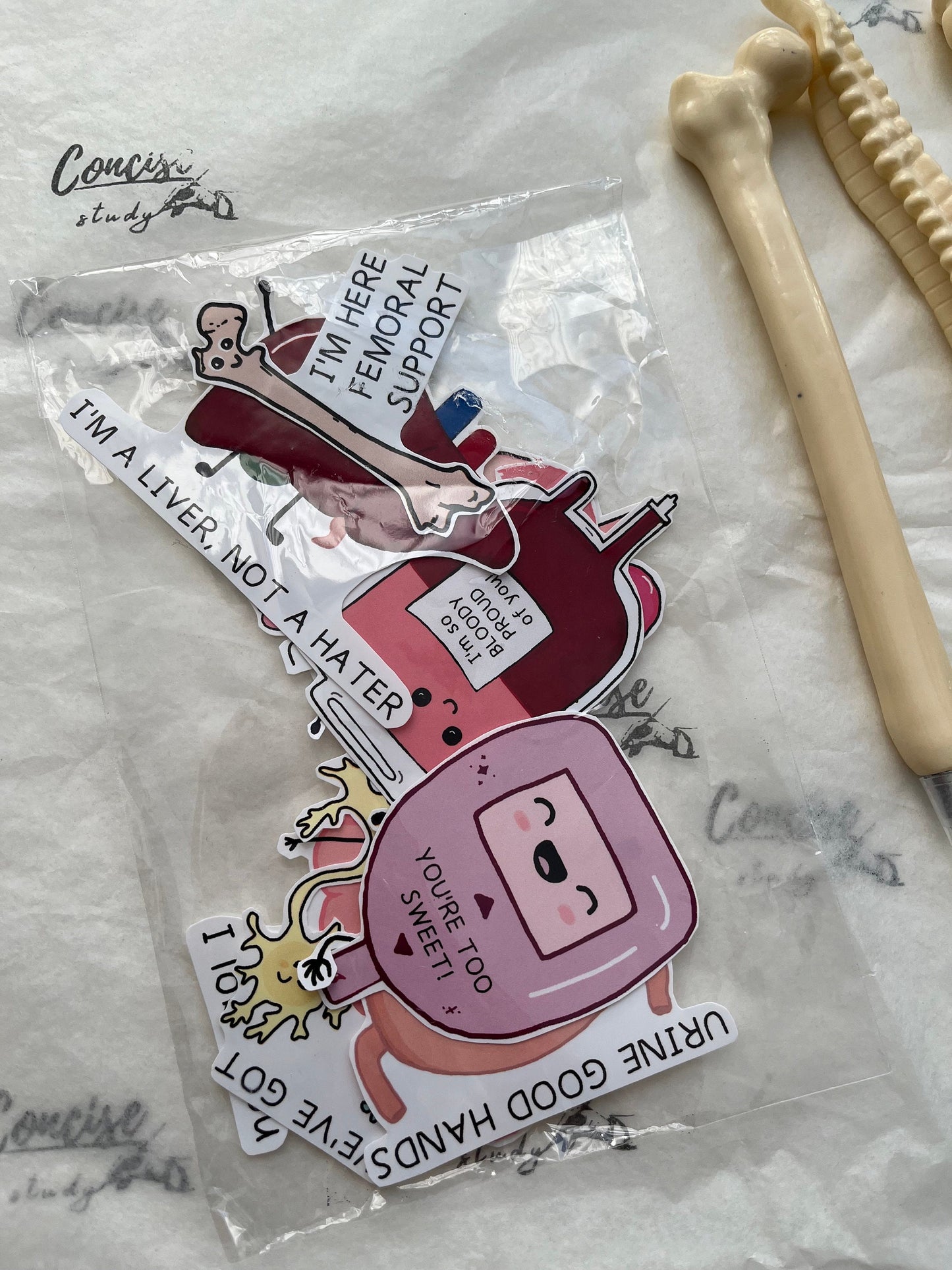 Cute Punny Anatomy Stickers