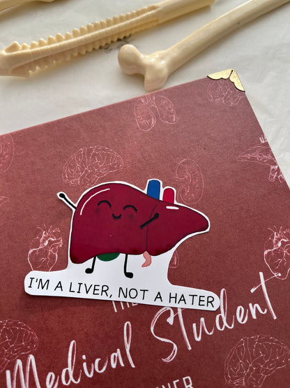 Cute Punny Anatomy Stickers