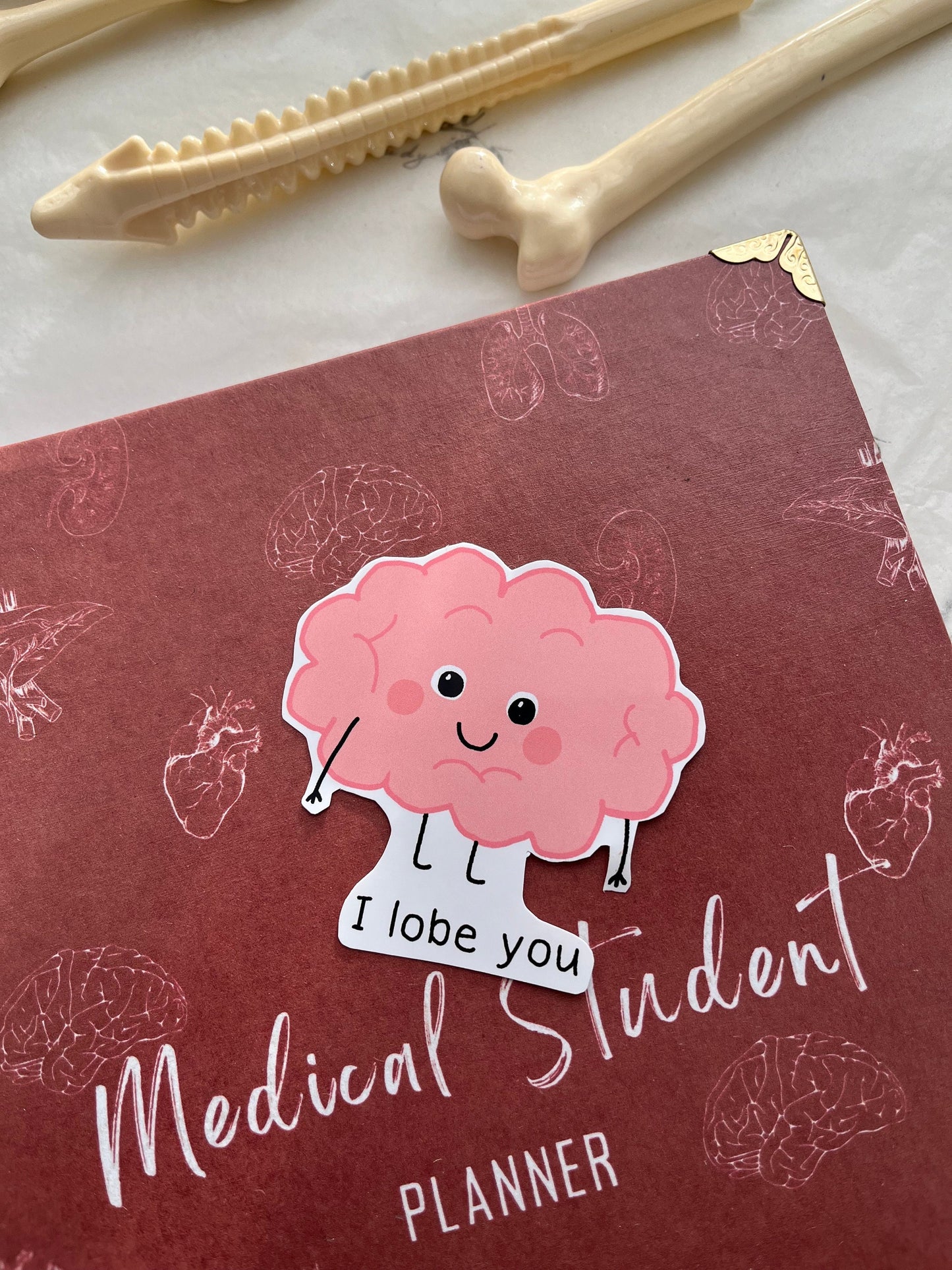 Cute Punny Anatomy Stickers