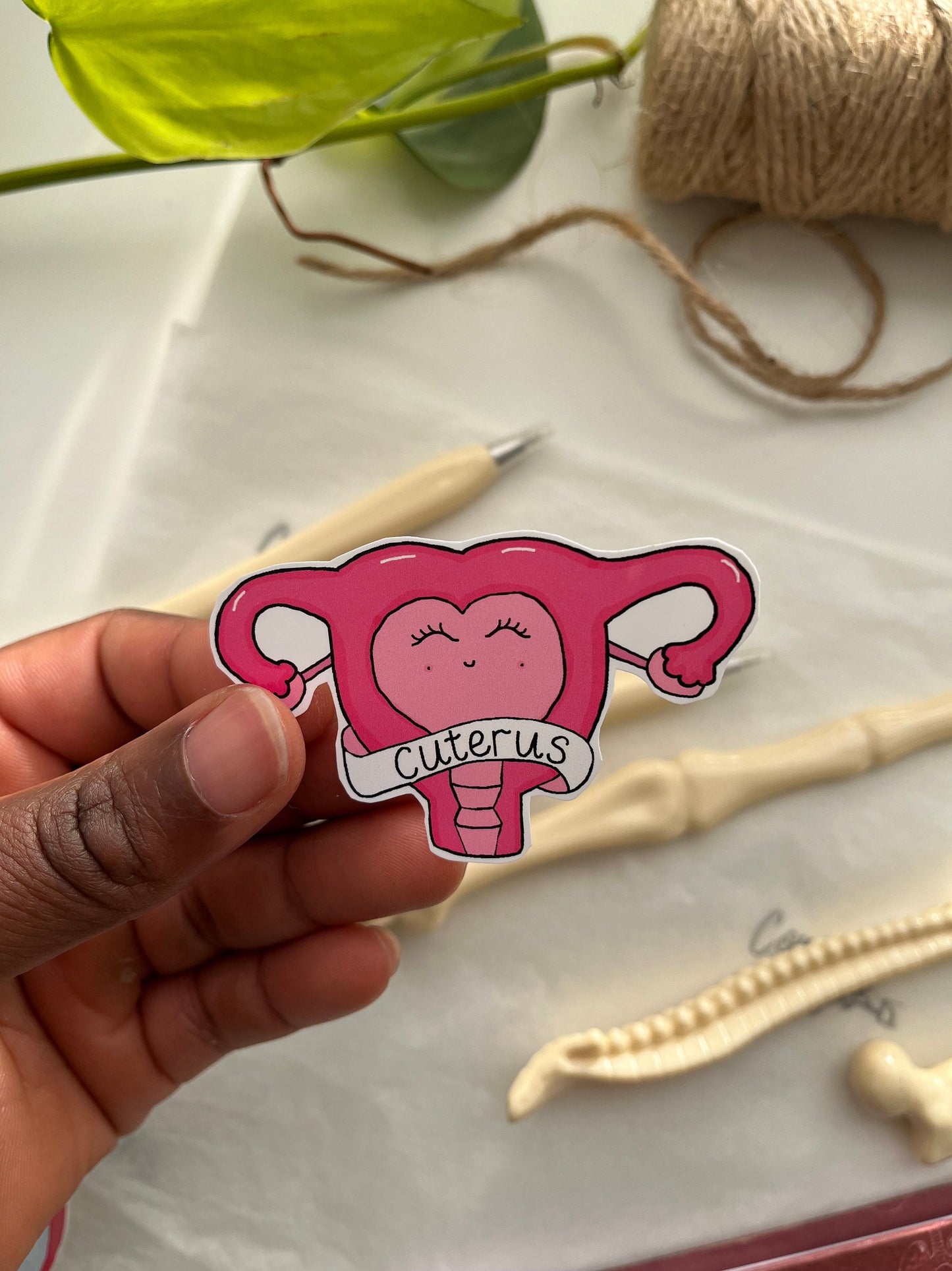 Cute Punny Anatomy Stickers